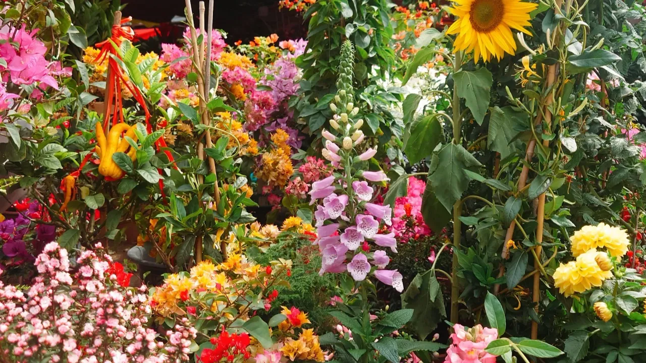 Bagualing Flower Wholesale Market: Shenzhen’s Best Spot for Affordable Flowers & Artistic Displays