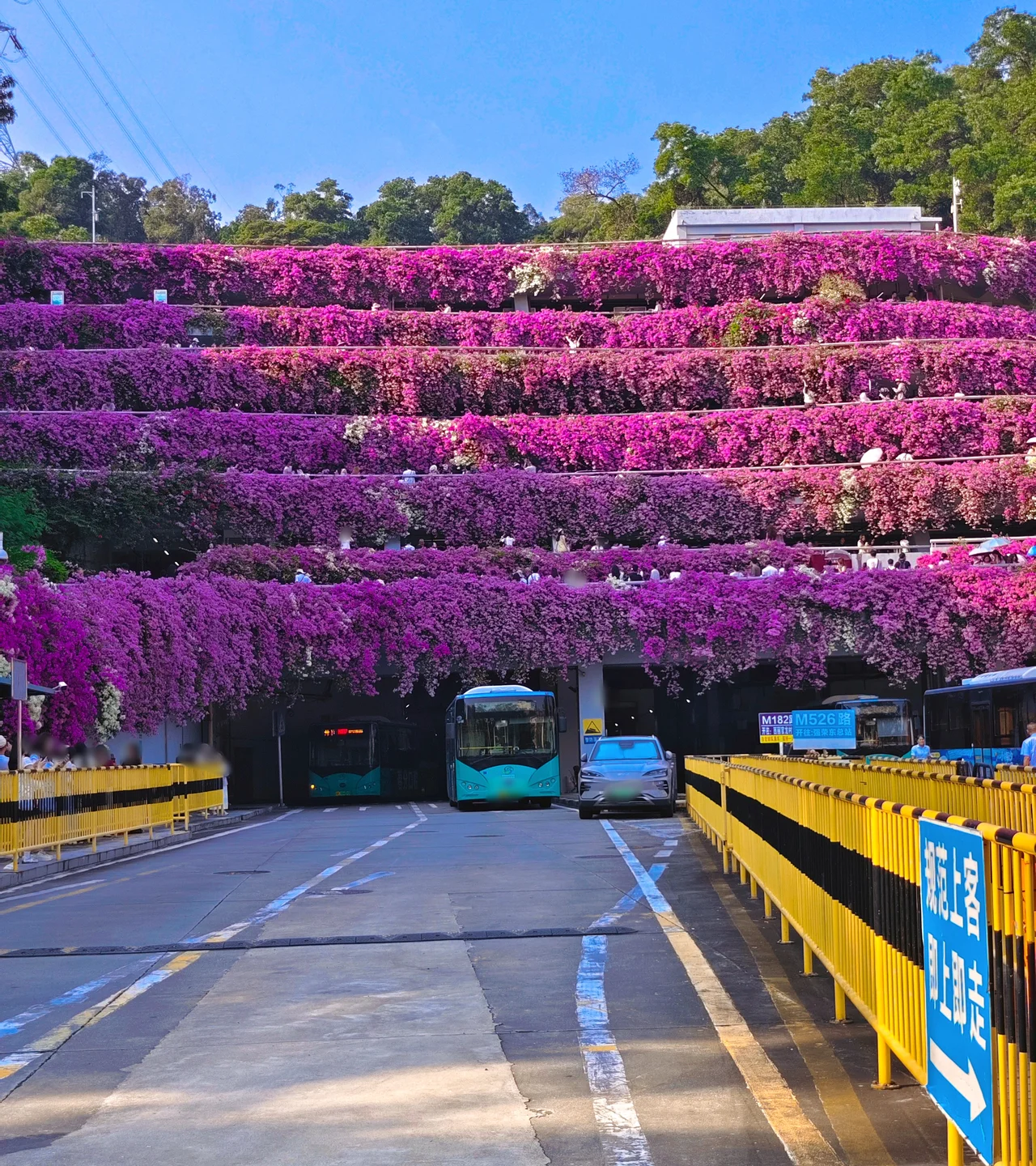 shenzhen xianhu